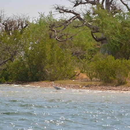 Le Pelican Du Saloum Sine-Saloum Luaran gambar