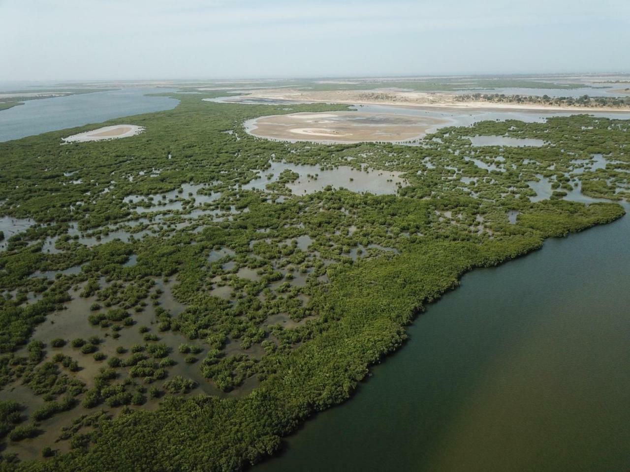 Le Pelican Du Saloum Sine-Saloum Luaran gambar
